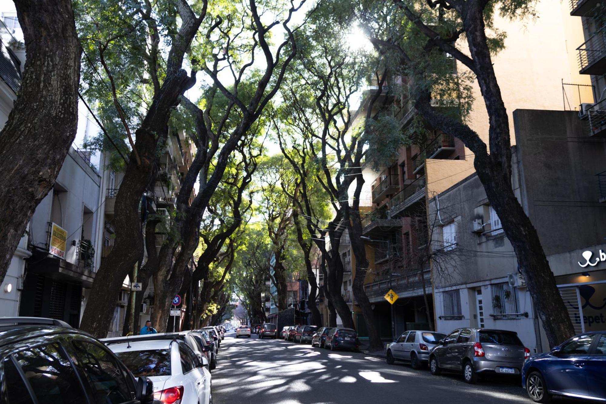 Palermo Soho G4827 - Departamentos Modernos, Amplios Y Luminosos Leilighet Buenos Aires Eksteriør bilde