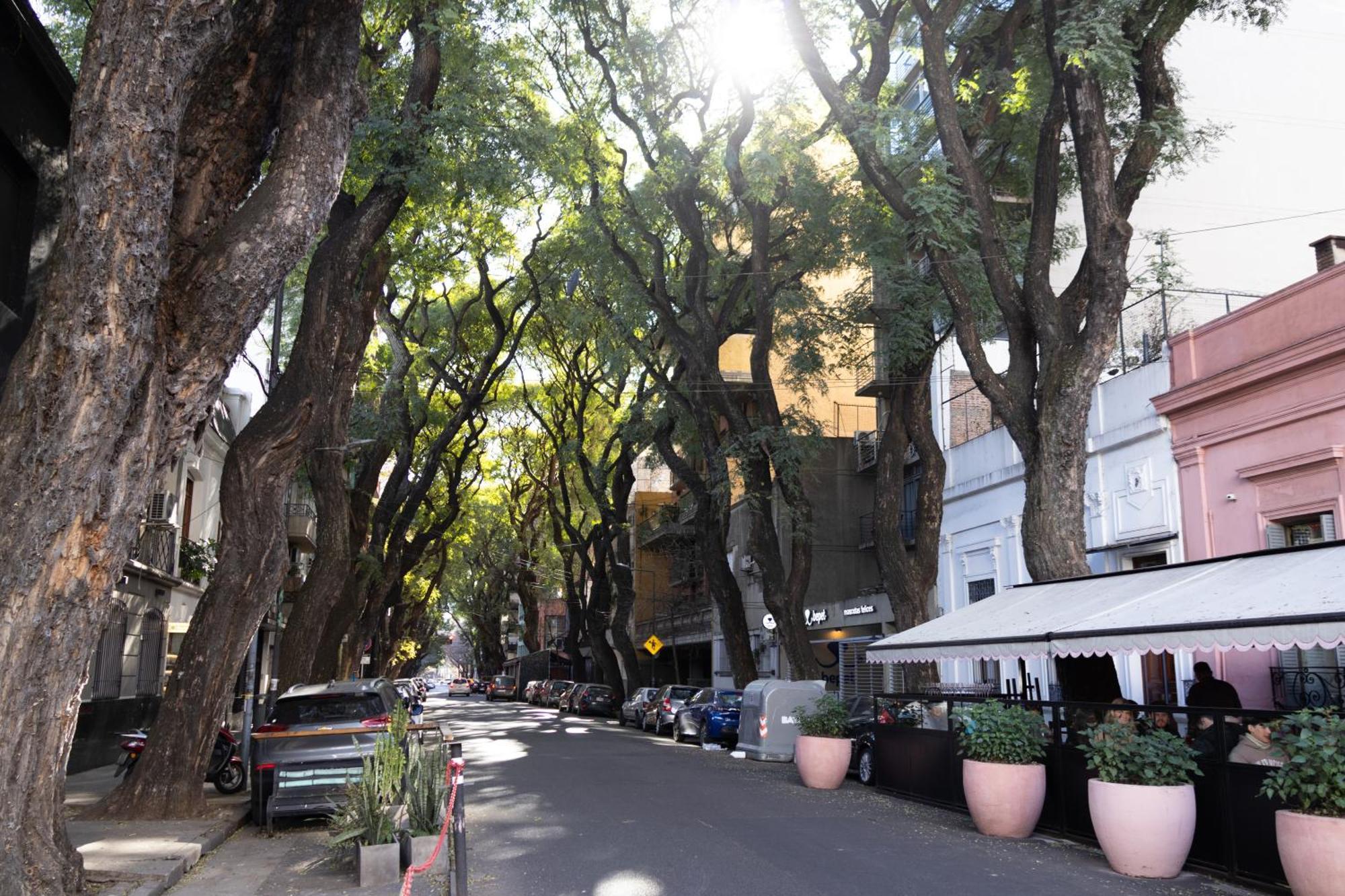 Palermo Soho G4827 - Departamentos Modernos, Amplios Y Luminosos Leilighet Buenos Aires Eksteriør bilde